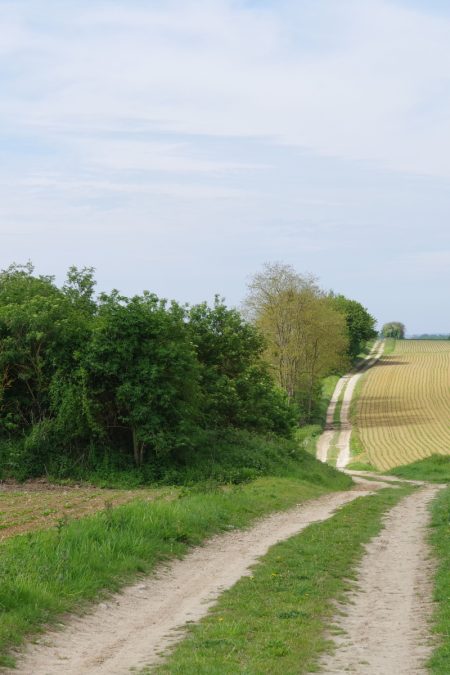 site-Le plus vieux monument du Valois